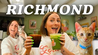 Richmonds neues! Katzencafé, das man unbedingt besuchen muss + mehr | RVA Vlog