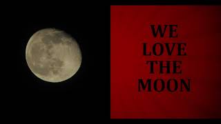 We Love The Moon screenshot 3
