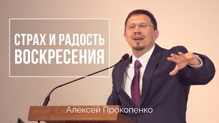 Страх и радость воскресения | Матфея 28:1-10 | Алексей Прокопенко