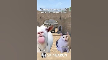 POV: When you try to talk to your teammates