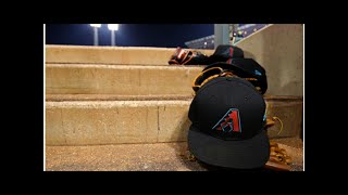 Minor MLB Transactions 18