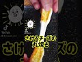 【驚愕】ズボラ！！さけチー丸焼き#shorts