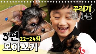 [EBS놀이터] 꾸러기 천사들🥰｜22-24화｜3편 모아보기｜안녕, 무돌아｜달 달 무슨 달｜새로운 친구들｜80분 연속보기