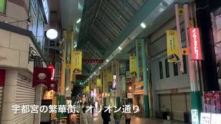 【ミニ動画】宇都宮に来たらここに行け！MEGAドンキ地下の餃子コーナー