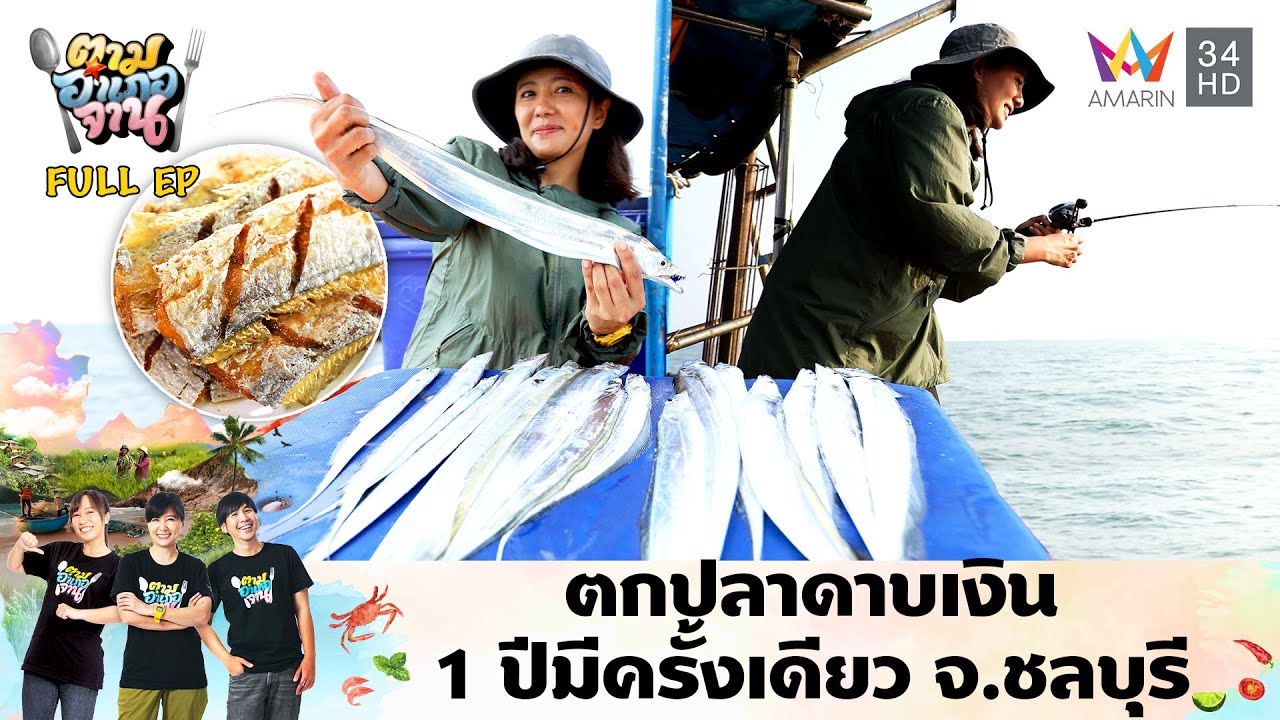 ตกปลาดาบเงิน 1 ปีมีครั้งเดียว อ.ศรีราชา จ.ชลบุรี | ตามอำเภอจาน | 7 พ.ค.67 Full EP