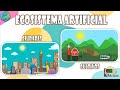 Ecosistema Artificial | Aula chachi - Vídeos educativos para niños