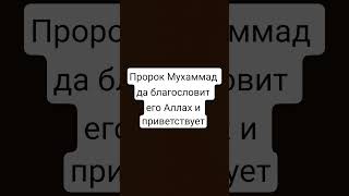 Пророк Мухаммад да благословит его Аллах и приветствует | #вера #напоминание #quran