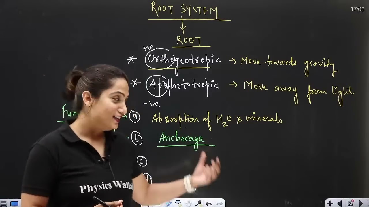 MORPHOLOGY IN FLOWERING PLANTS in 1 Shot - All Theory & PYQs | NEET ...