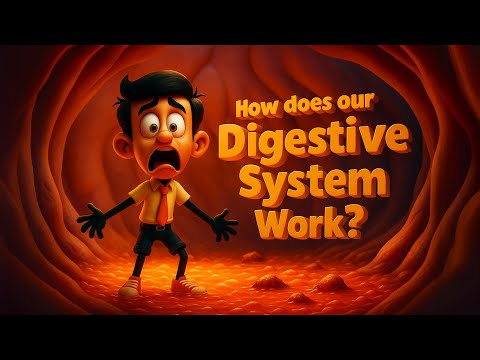 How does our Digestive System Work? | #aumsum #kids #cartoon #science