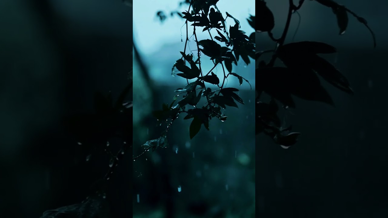 Beautiful Evening Music Series 🌧️ Rainy Evening Calm for Cozy Nights | 