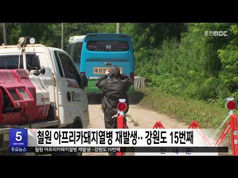 철원 아프리카돼지열병 재발생.. 강원도 15번째