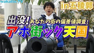 【天地明察】五稜郭でアホ街ック天国!!【wakatte.TV】#331