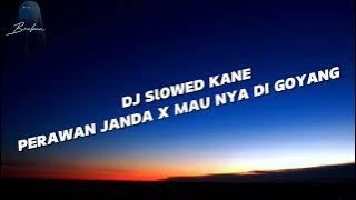 Dj Slowed Kane | Dj Perawan Janda X Mau Nya di Goyang Viral Tiktok 2024