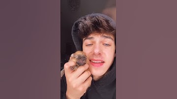 Kyle Thomas 💙 HE WAS SUCKING MY LIP 😂 #kylethomas #shorts