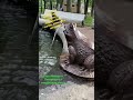 Чудесный фонтанчик в центре Петербурга