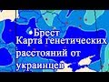 Полесский диалект украинского языка в Беларуси на Берестейщине