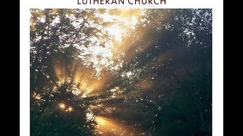 THE SECOND SUNDAY OF ADVENT, December 8, 2024