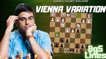 Pin and Counterpin! D37 Queen