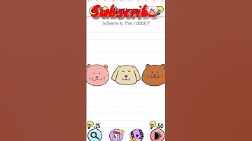 BRAIN TEST LEVEL 328, Where is the rabbit 🐇