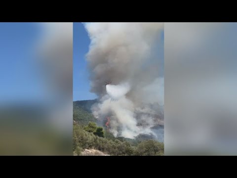 Υπό μερικό έλεγχο η πυρκαγιά σε δασική έκταση στο Άγιο Όρος