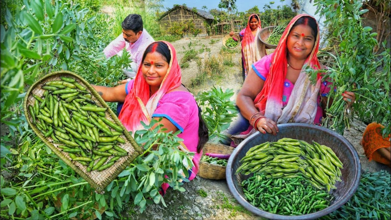 बिहारी स्टाइल बाकला की चटपटी स्वादिष्ट सब्जी जो एक बार बनाएं खाते रह जाए Bakala sabji/Bakala recipe