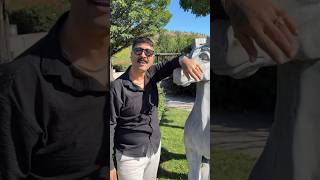 Fatih Bulut Üzümlü Kekim Ballı Bademim