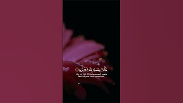 #quran #قرآن #explore        سورةالقلم القارئ سالم الرويلي