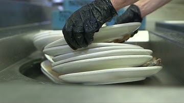 Salvajor Collector Demo Instructional Video