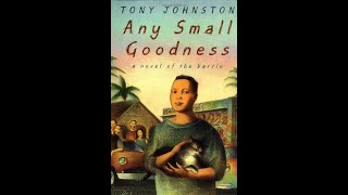 Plot summary, “Any Small Goodness” by Tony Johnston in 8 Minutes - Book Review