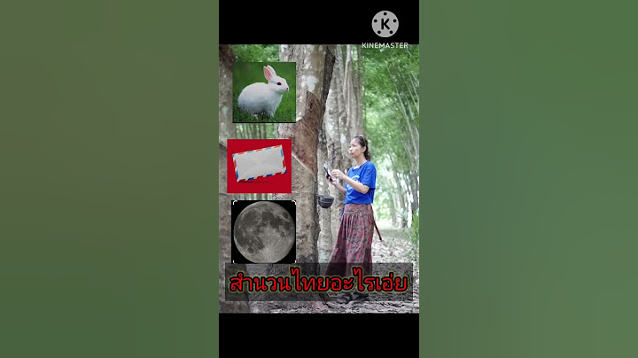 แวปแรกรู้เลย#ไบ้คำด้วยภาพ#funny #สำนวนสุภาษิตคำพังเพยไทย #สำนวนไทย #สวนยางพารา #ยางก้อนถ้วย
