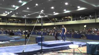 Danell Leyva - High Bar - 2014 Winter Cup Challenge Finals