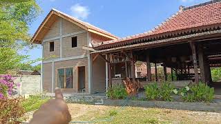 Rumah pendopo joglo dan limasan luas 995m. view persawahan dan pegunungan. akses dekat jalan raya.