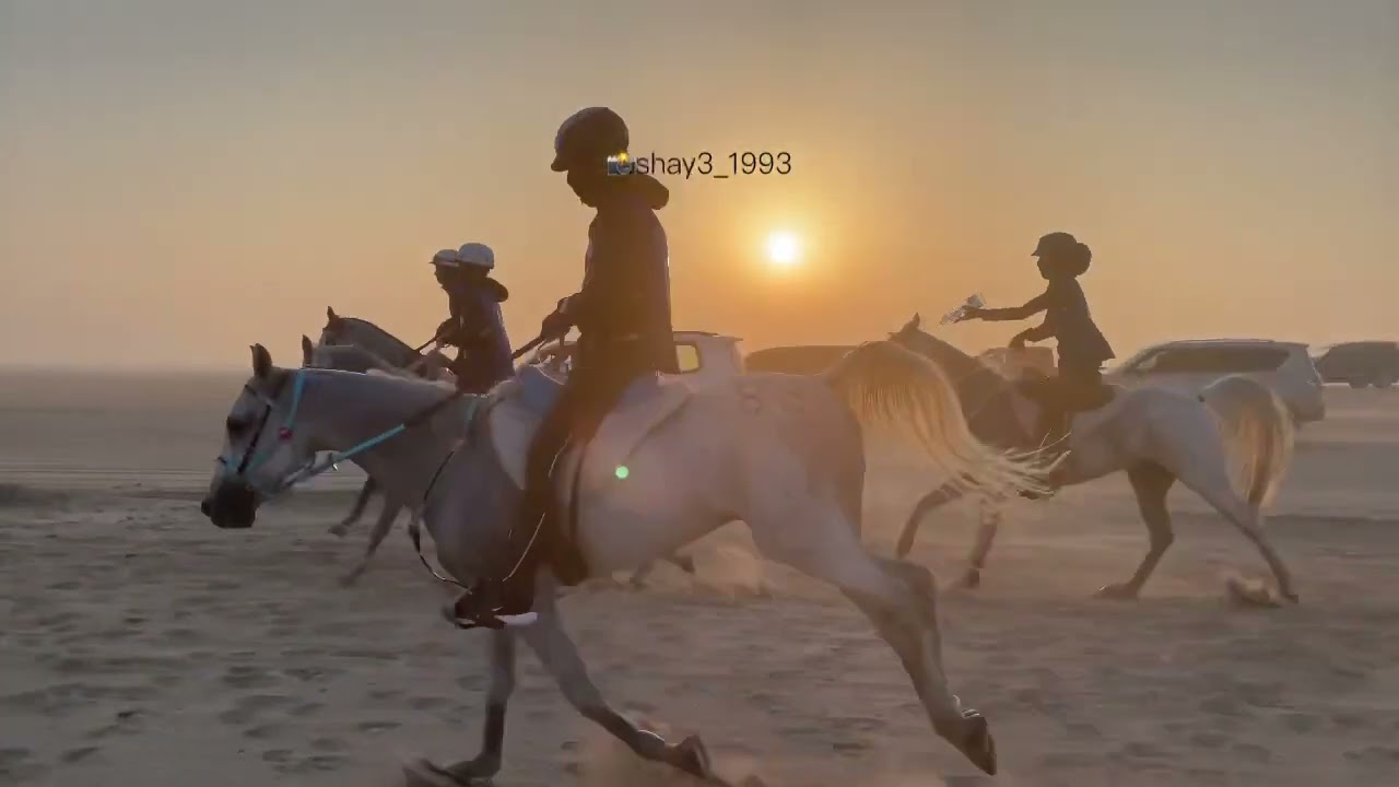 بطولة الاتحاد الثاني تاريخ ١٧ / ١٢ / ٢٠٢٢