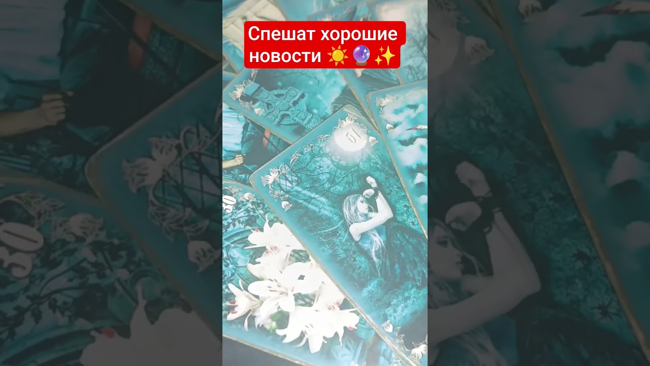 #высшиесилы