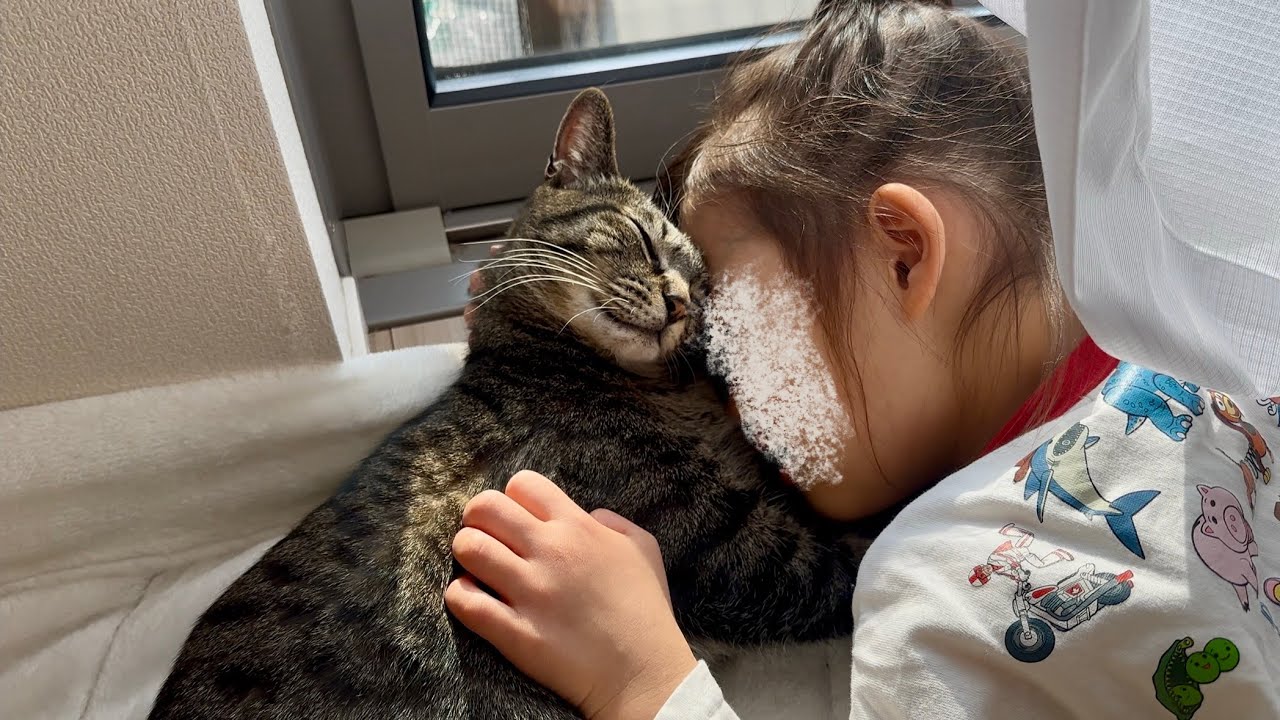 大好きな6歳娘に抱きしめられると幸せな猫がこうなりました