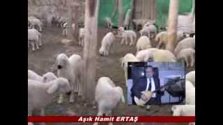 HAMİT ERTAŞ İŞ ADAMLARINA SÖYLEDİ / Haydar ALÇIK Resimi