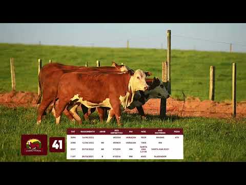 LOTE 41   CERRO VERDE