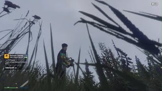 GTa 5 Great Chaparal Smugglers Cache