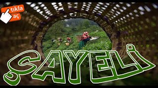 Başbakan İlçesi̇ Yeşi̇l Çayeli̇