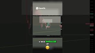 Bitcoin & Dogecoin  Trading Analysis and Investment Strategy