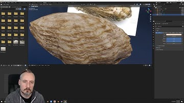 Oyster Model and Procedural Texture in Blender 3.0