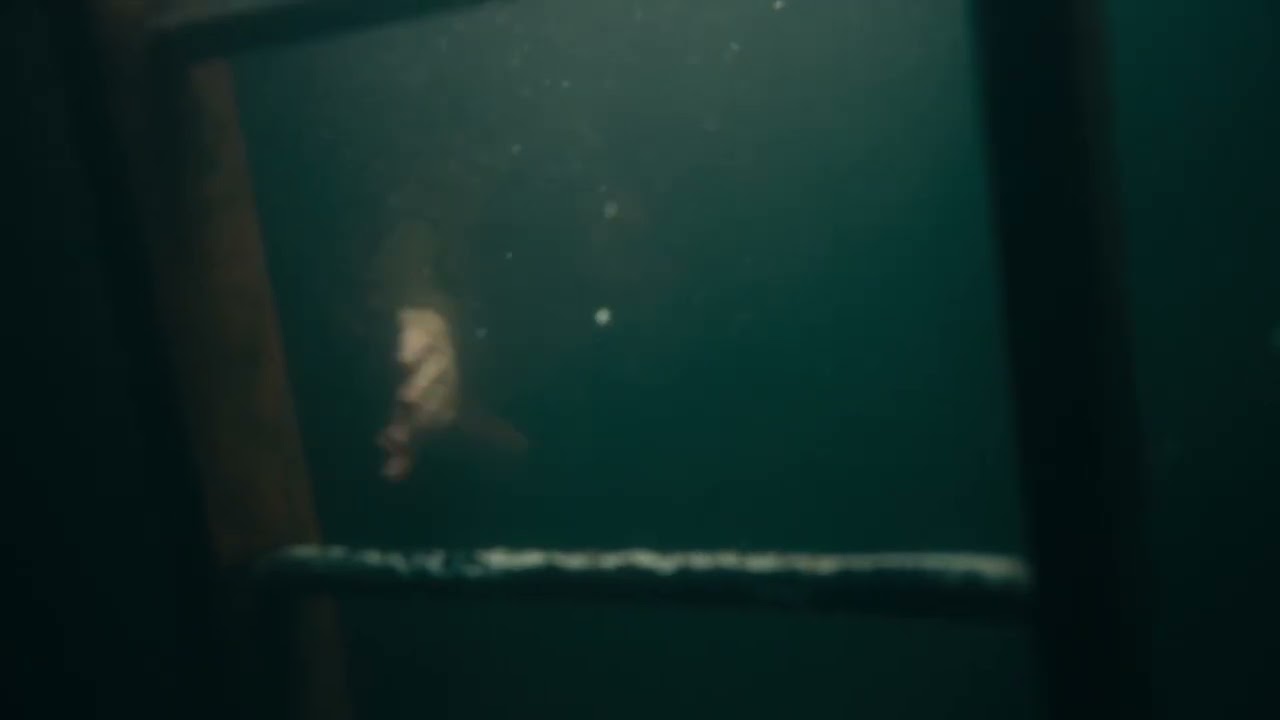 Dunkirk (2017) - soldier afraid of drowning