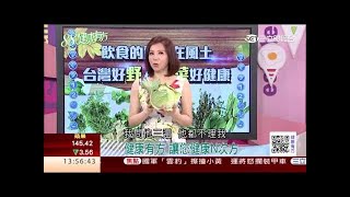 台灣好「野」人 食「菜」好健康-2｜健康有方20170613｜三立台灣台CH29