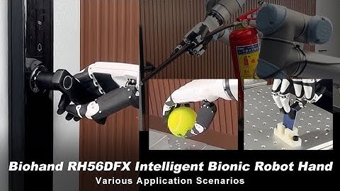 Biohand RH56DFX | High-Precision Bionic Hand for Robotics, Prosthetics, and Complex Real-World Tasks