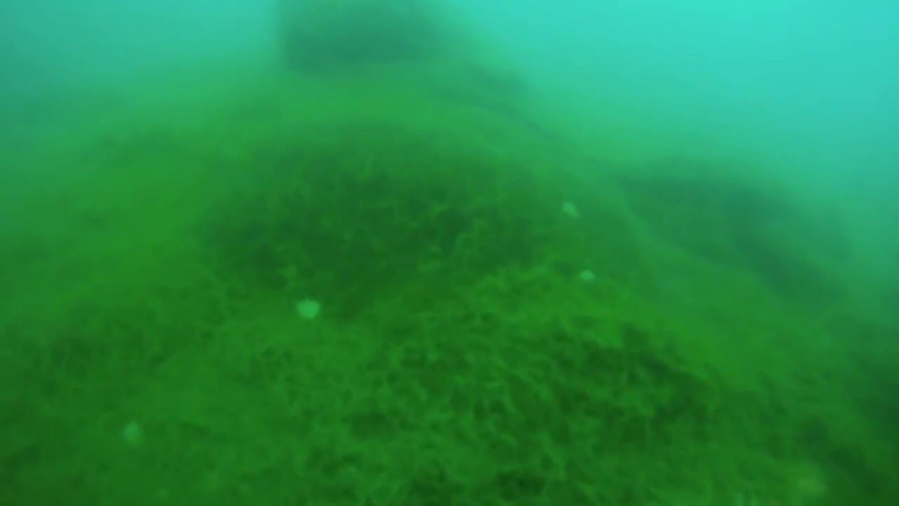 Tauchen Brückelsee 17.2.16