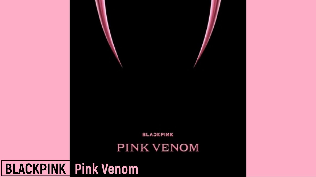 BLACKPINK - Pink Venom | Male Version