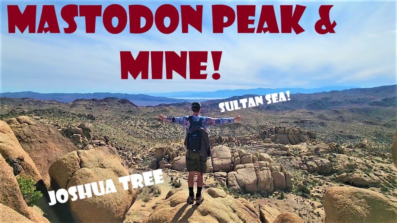 ABANDONED MINE and PEAK CLIMB!! MASTODON Peak and Mine Trail--JOSHUA TREE NP BEST HIKES**--4K