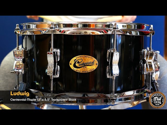 MW-Vintage.pl - Ludwig Centennial Maple 13