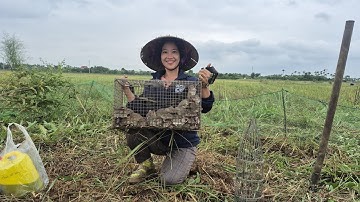 Hai vợ chồng miền bắc vây bắt chuột đồng trúng mánh ổ chuột khủng