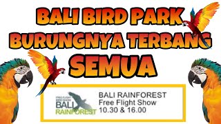 Menonton pertunjukan burung terbang dan bebek di Bali Bird Park - Bali Rainforst free flight show screenshot 5